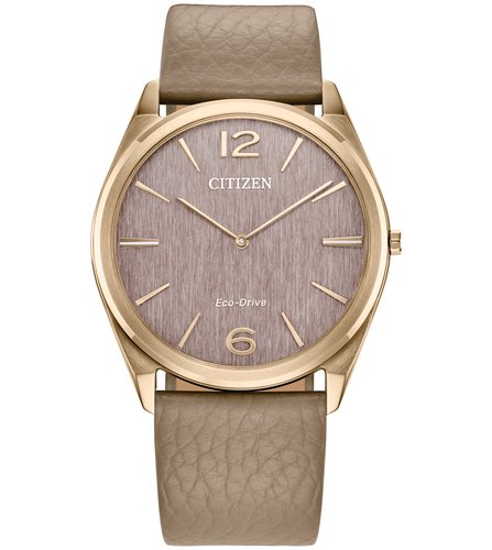 Reloj Citizen De Pulso C061868