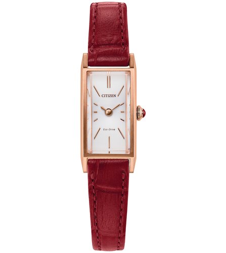 Reloj Citizen De Pulso C062064