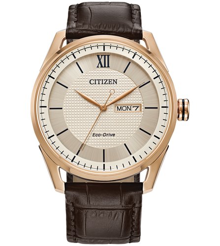 Reloj Citizen De Pulso C061512