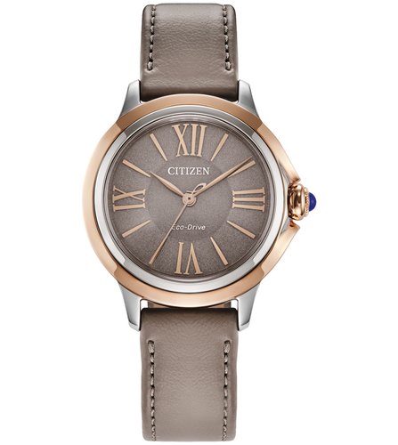 Reloj Citizen De Pulso C061869